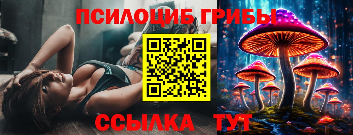 Заводоуковск  Галлюциногенные грибы ЛСД  Галлюциногенные грибы MAGIC MUSHROOMS  Вход с VPN 
